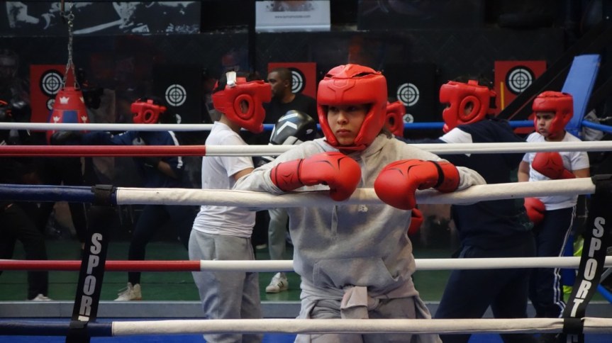 &laquo;&nbsp;BOXING PARADISE&nbsp;&raquo;, LA REVUE ECLAIR A LA&nbsp;MC93