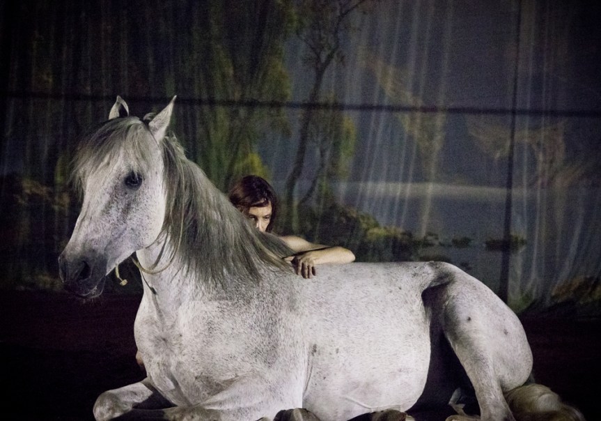 FESTIVAL D&rsquo;AUTOMNE : AVEC &laquo;&nbsp;HATE&nbsp;&raquo;, LAETITIA DOSCH SUBLIME L&rsquo;ANIMALITE