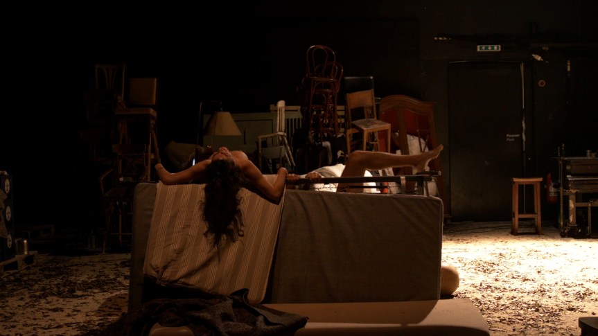 Les_palmiers_sauvages_severine_chavrier_3