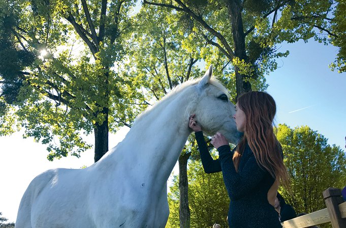 &laquo;&nbsp;HATE&nbsp;&raquo;, PERFORMANCE FUNAMBULE DE LAETITIA&nbsp;DOSCH