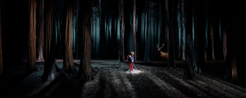 &laquo;&nbsp;LE BRUIT DES LOUPS&nbsp;&raquo;, UN RÊVE THEÂTRALISE D&rsquo;ETIENNE&nbsp;SAGLIO