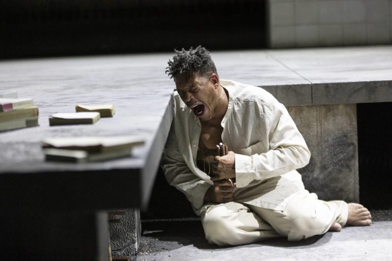 elephant-man-joeystarr-arnaud-bertereau-scaled