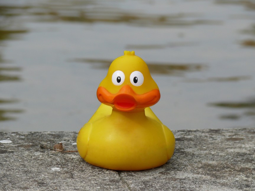 &laquo;&nbsp;L&rsquo;ATLAS DE L&rsquo;ANTHROPOCENE&nbsp;&raquo;, DRÔLES DE&nbsp;CANARDS