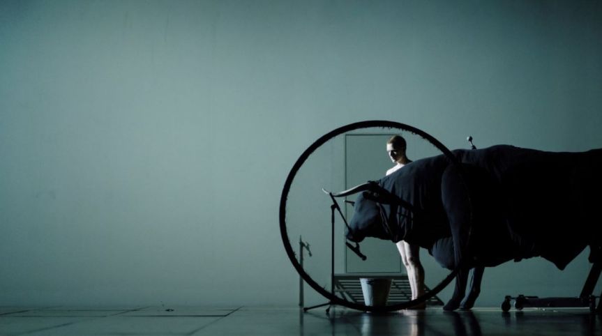 dimitris_papaioannou