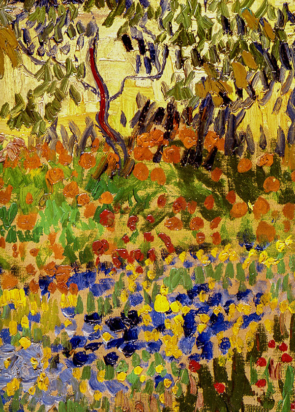 garden-of-flowers-5164