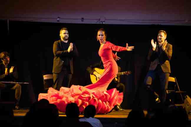 flamenco-307-1-scaled