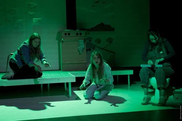 &laquo;&nbsp;LICHEN&nbsp;&raquo;, CHRONIQUE DE LA MISERE&nbsp;IMMOBILIERE