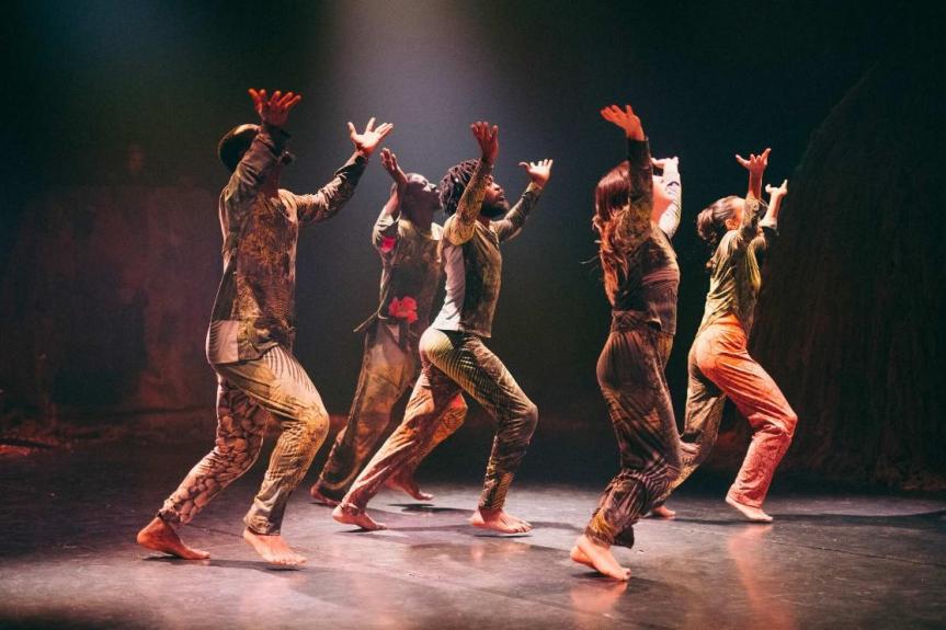 &laquo;&nbsp;COMBAT DES LIANES&nbsp;&raquo;, RESISTANCE FACE A LA&nbsp;DEFORESTATION