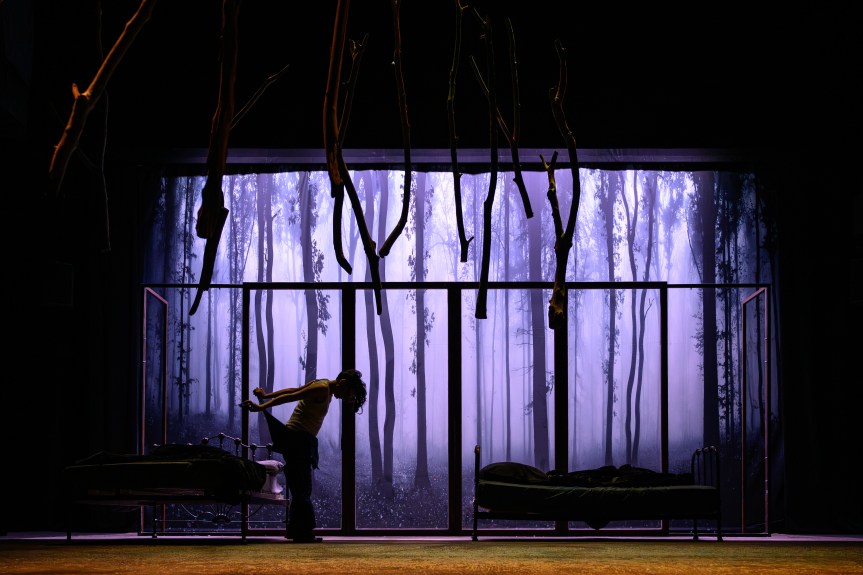 MALGRÉ DE BONNES INTENTIONS, UN &laquo;&nbsp;FOXFINDER&nbsp;&raquo; PAS CONVAINCANT ET&nbsp;ENNUYEUX