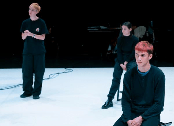 &laquo;&nbsp;DOGS [NOUVELLES DU PARC HUMAIN]&nbsp;&raquo;, LA THÉÂTRALITÉ EN&nbsp;QUESTIONS