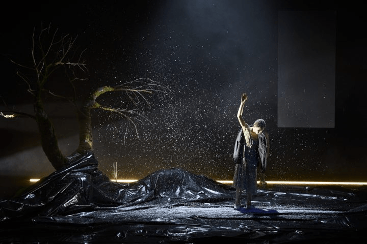 ABDELWAHEB SEFSAF, &laquo;&nbsp;ALIF&nbsp;&raquo; : LA LANGUE ARABE COMME VECTEUR D&rsquo;ÉMANCIPATION